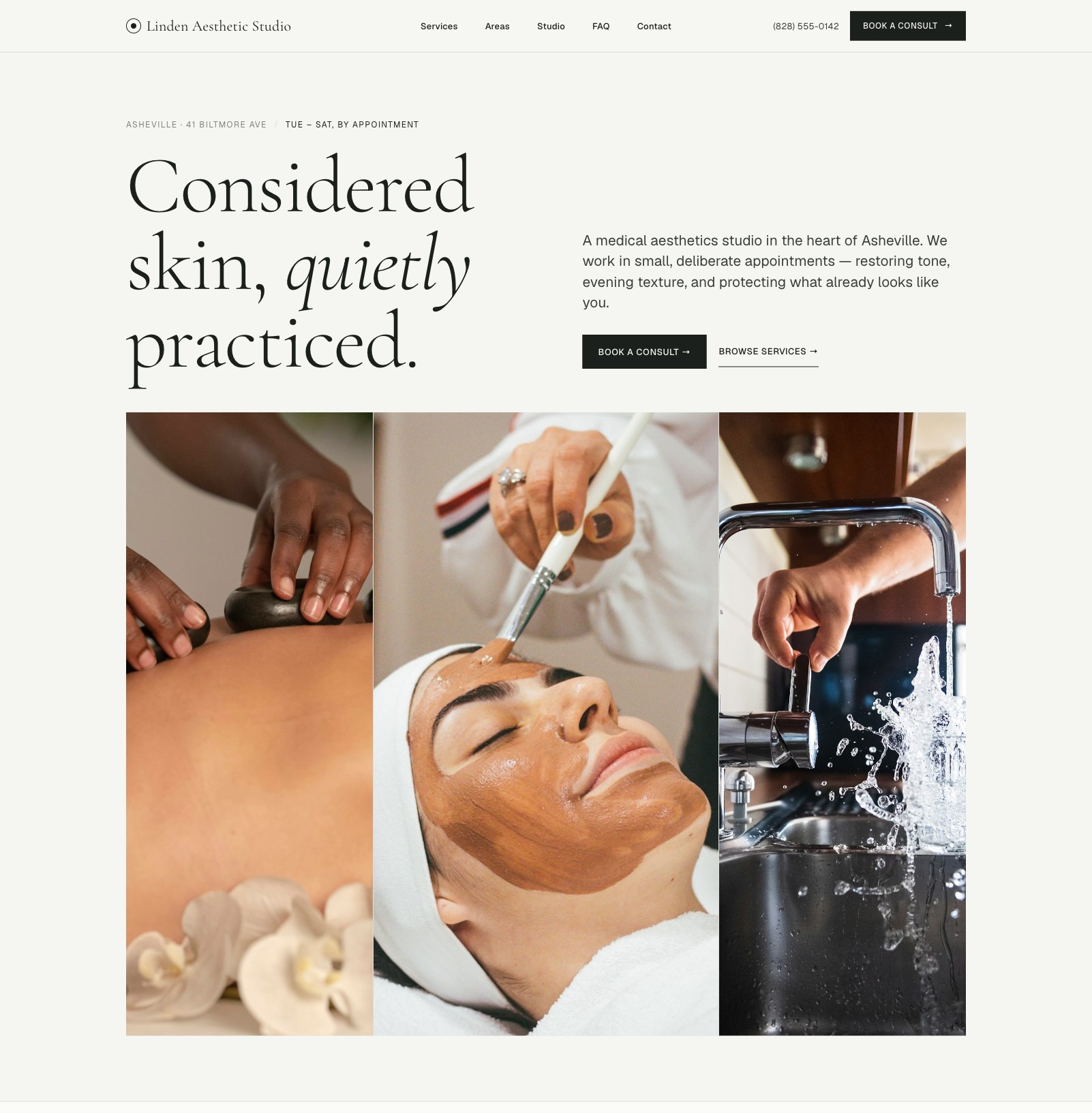 Linden Aesthetic Studio (Editorial Sage) template preview